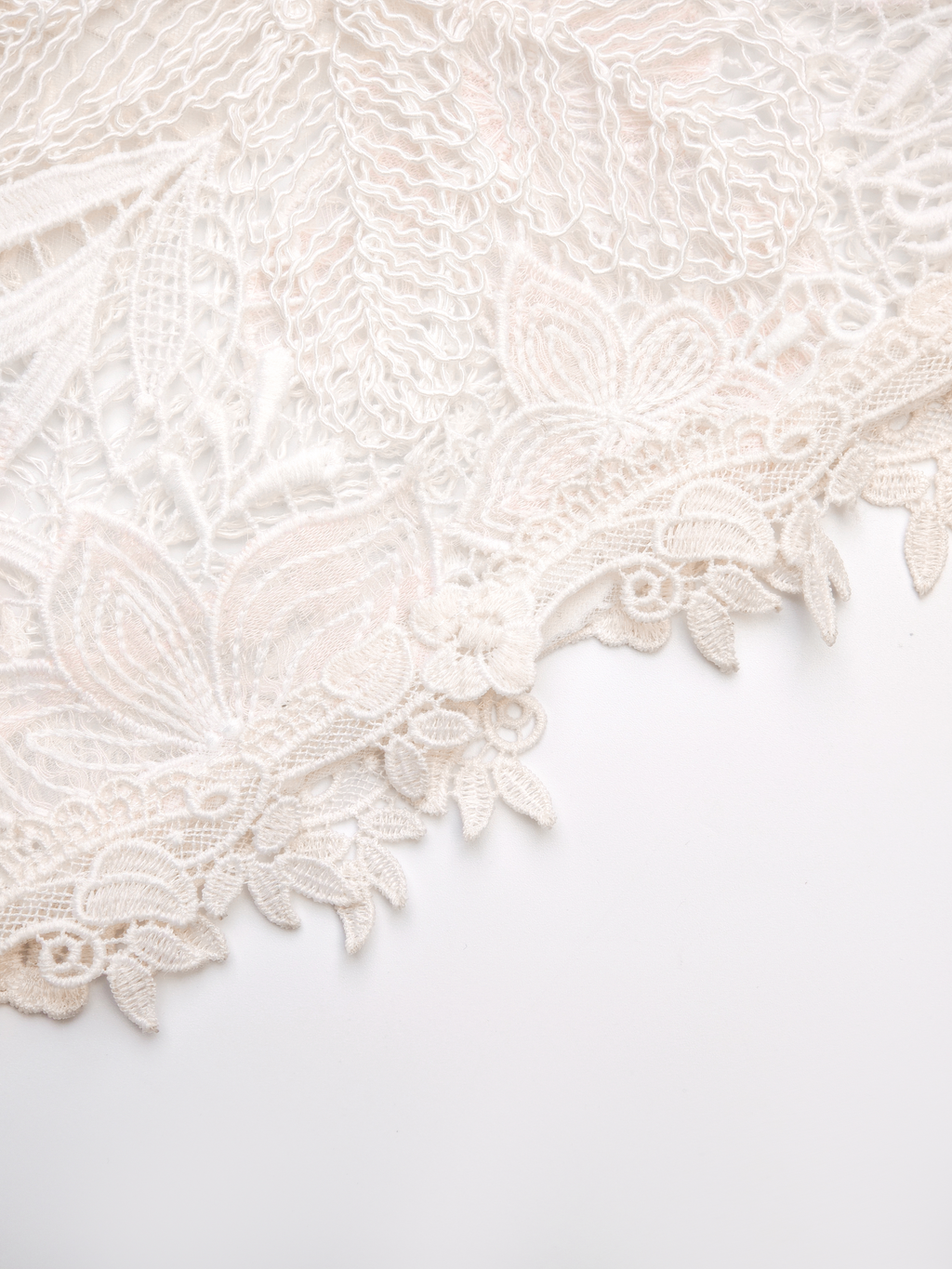 Pearl Wonderland 3D Floral Lace V-Neck Maxi Dress white background