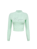 Morning Muse Green Cashmere Rhinestone Cable Knit Sweater white background