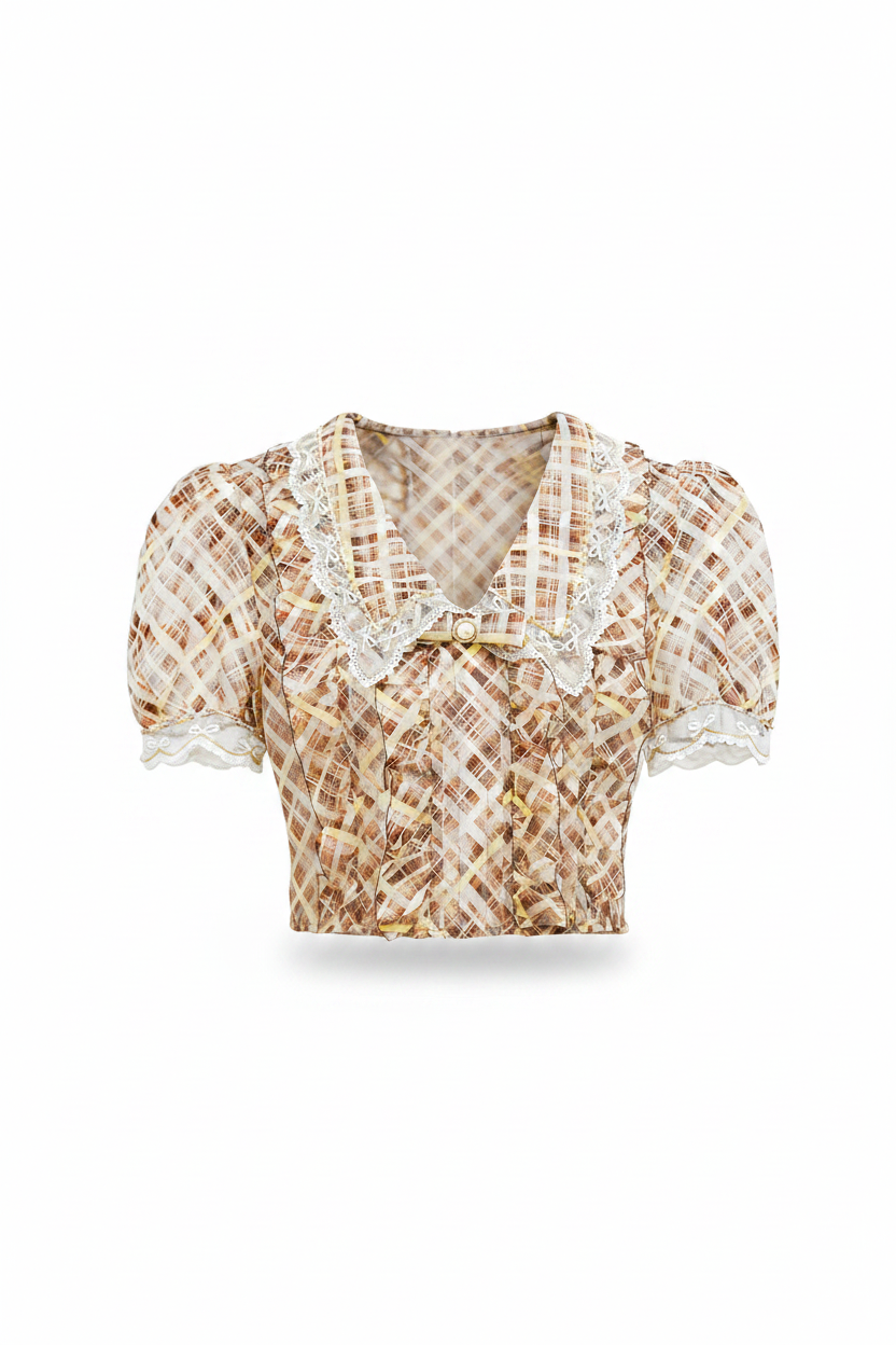 Morning Muse Brown Vintage Glitter Check V-Neck Embroidered Blouse white background