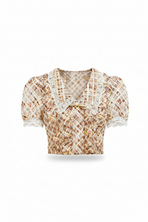 Morning Muse Brown Vintage Glitter Check V-Neck Embroidered Blouse white background
